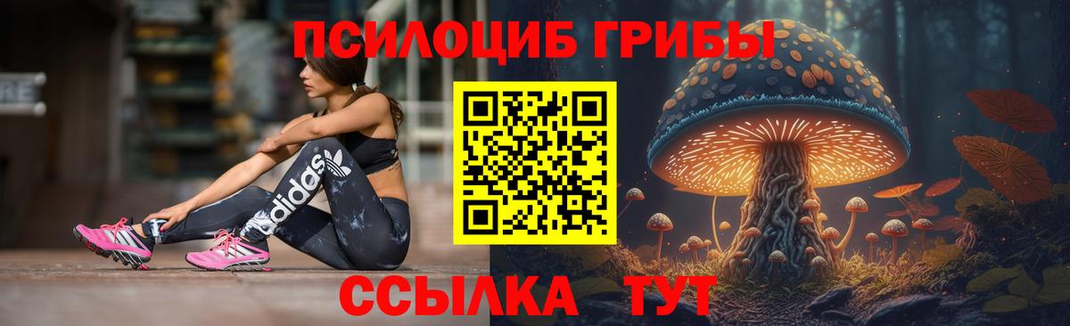 Псилоцибиновые грибы Psilocybe  Галлюциногенные грибы Psilocybine cubensis  Хабаровск  Вход с VPN 
